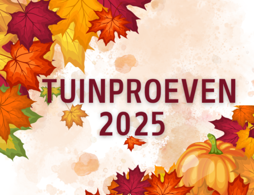 Tuinproeven 2025: Proef de sfeer, deel je oogst!