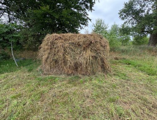 Hooien zonder klooien